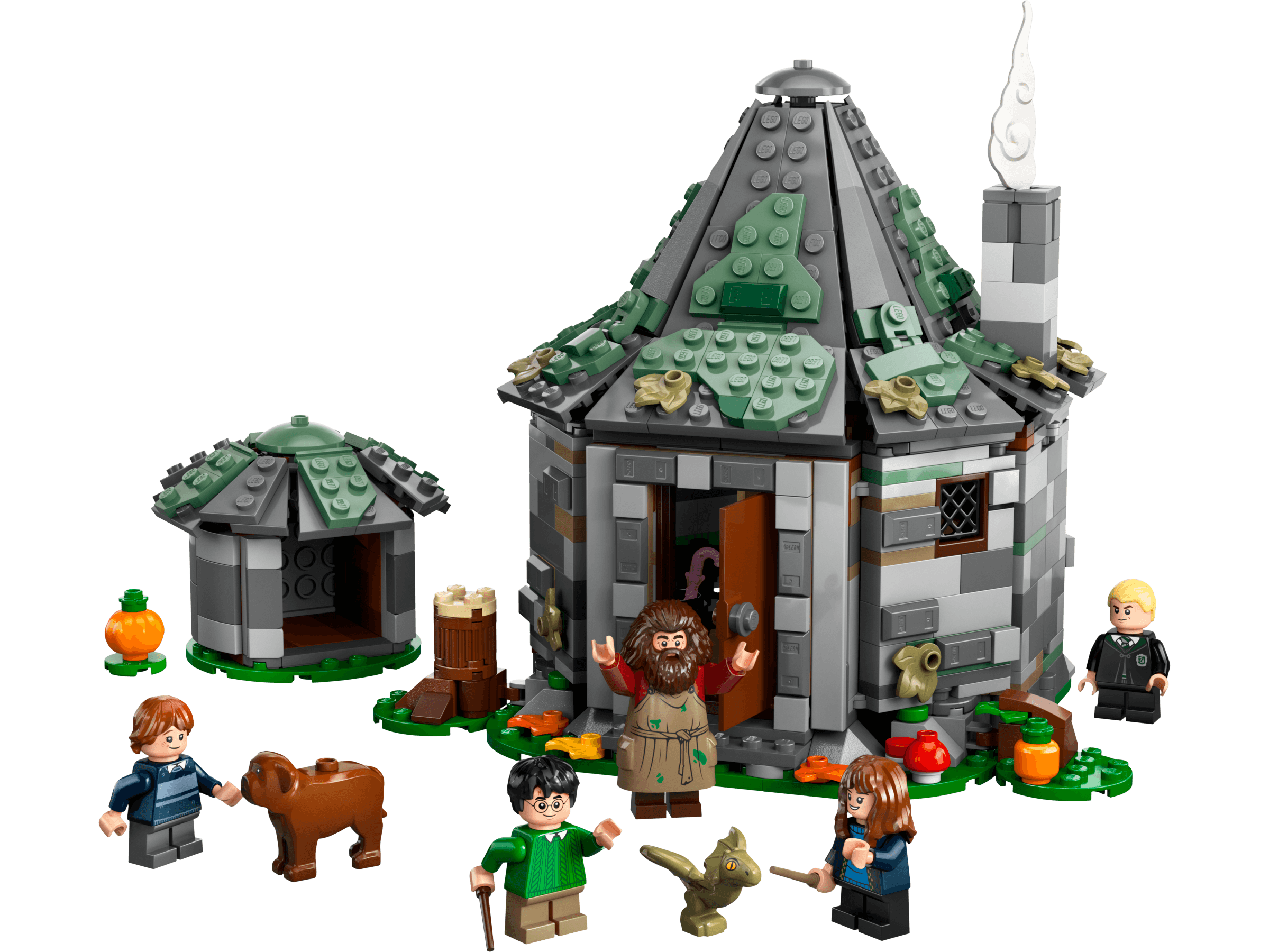 Hagrid's Hut: An Unexpected Visit