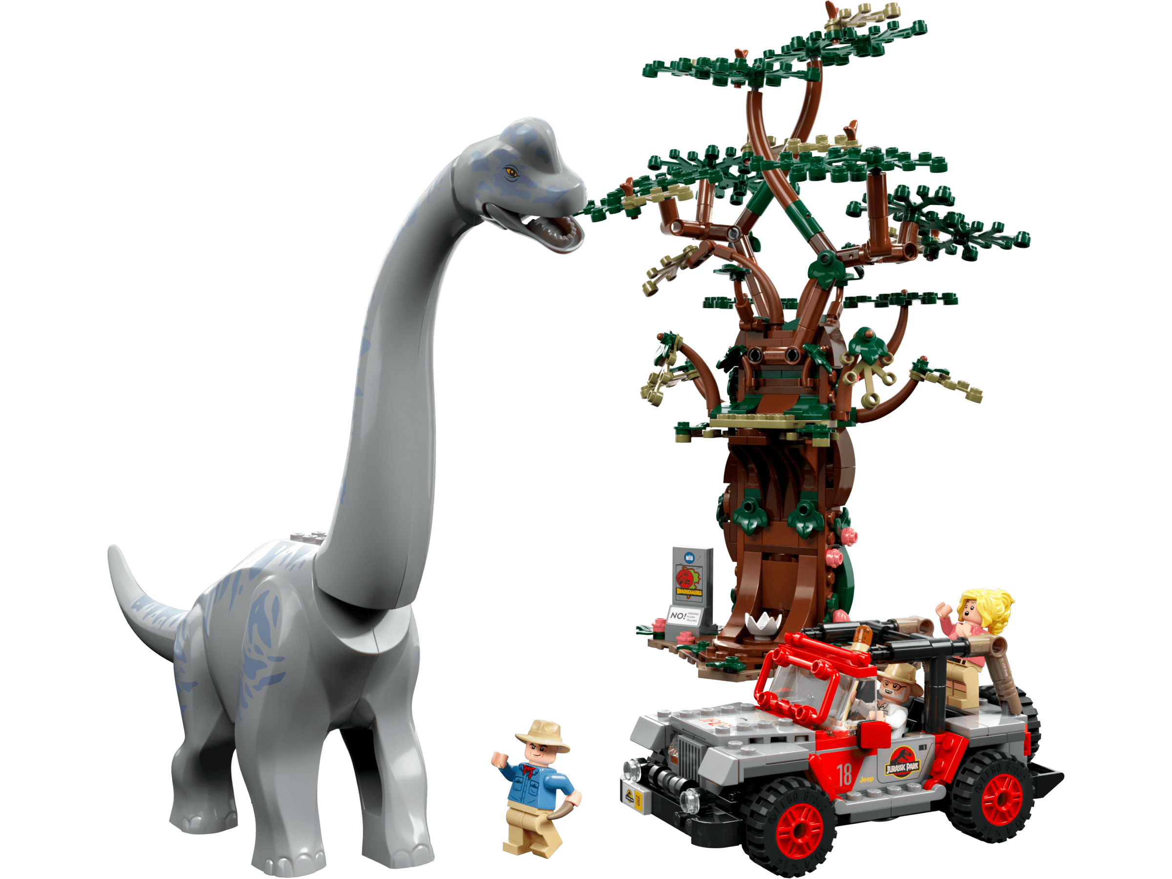 Brachiosaurus Discovery