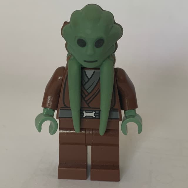 Kit Fisto