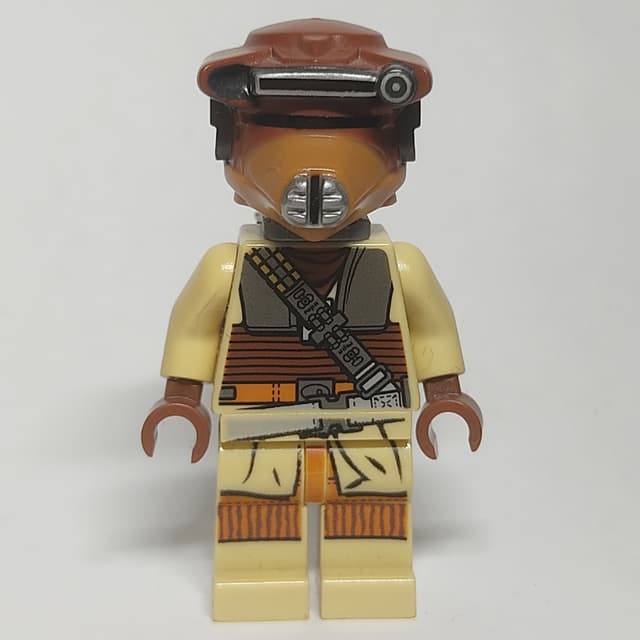Boushh / Princess Leia in Disguise