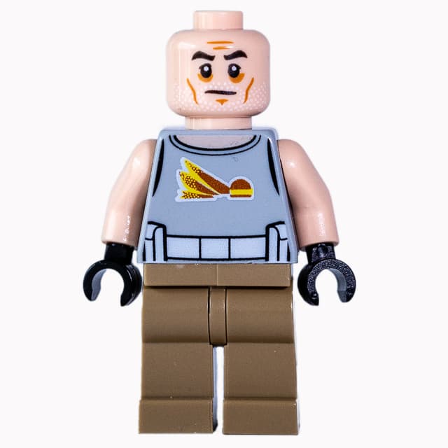 Clone Commander Gregor, Old