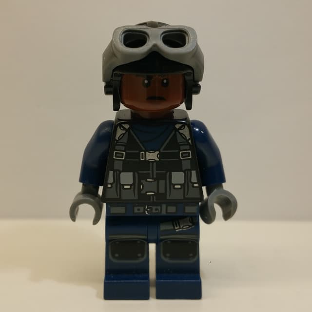 Guard in Helmet with Goggles