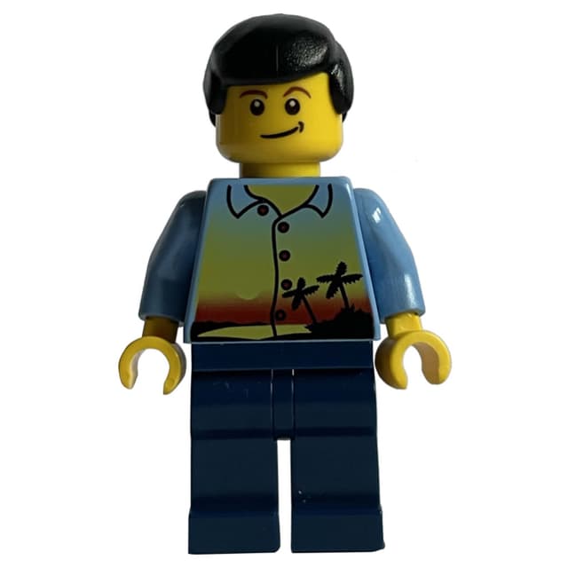 Man, Medium Blue Shirt with Palm Trees and Sunset, Dark Blue Legs, Black Hair