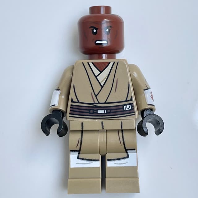 Mace Windu - White Arm Print