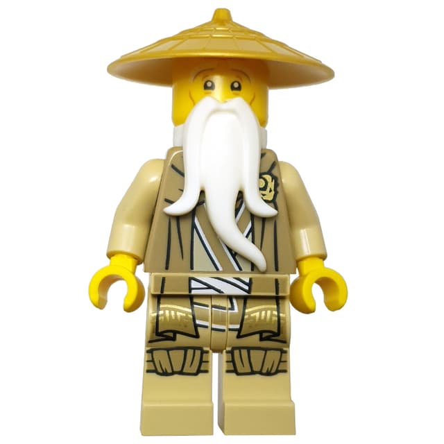 Master Wu, Dark Tan Robe